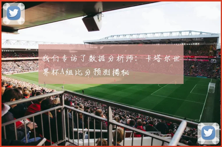 我们专访了数据分析师：卡塔尔世界杯A组比分预测揭秘