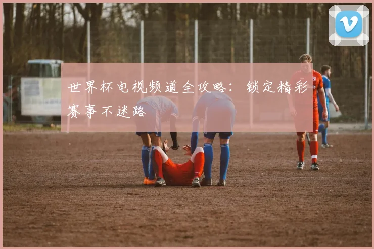 世界杯电视频道全攻略：锁定精彩赛事不迷路