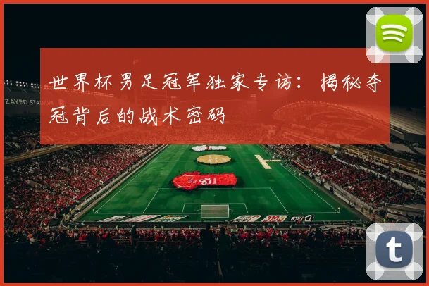 世界杯男足冠军独家专访：揭秘夺冠背后的战术密码