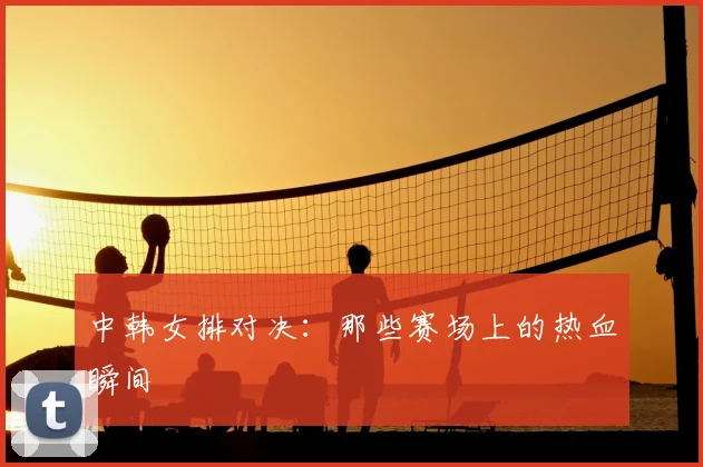 中韩女排对决：那些赛场上的热血瞬间