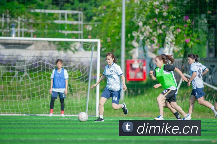 多媒体互动体验